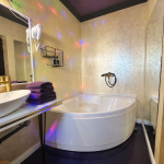 Deluxe room PURPLE 5 cu balcon si bara de dans